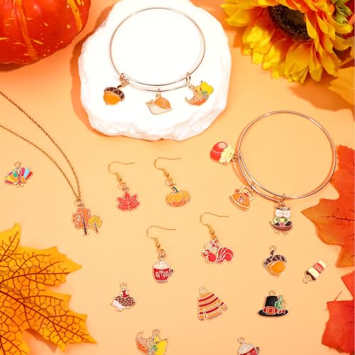MARFOREVER 40Pcs/20 Pairs Fall Charms, Thanksgiving Charm for Jewelry Making, Autumn Pumpkin Maple Leaf Turkey Enamel Pendants for Bracelet Necklace Earrings Making Accessories - style: Fall