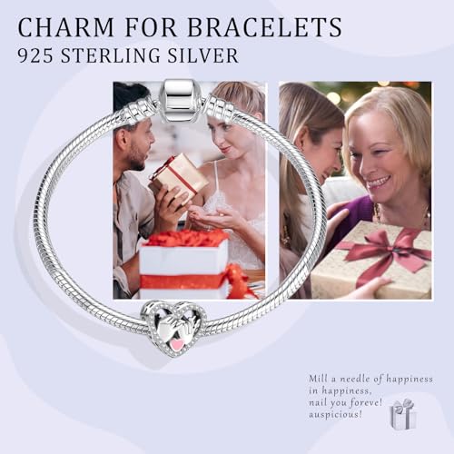925 Silver Charms Pendants For Pandora Bracelet Golden charms Bead Safety Chain Clip set Heart Flower Animal Beads Family, Mom, Friend, Daughter, Birthday, Jewelry Gift - style: G-Love's Promise