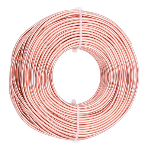12 Gauge Aluminum Craft Wire, 100 Feet 2mm Bendable Metal Wire for Jewelry Making, Sculpting and Floral Design, Soft Armature Wire for DIY Crafts (Champagne) - size: 12 Gauge(2mm), style: Champagne