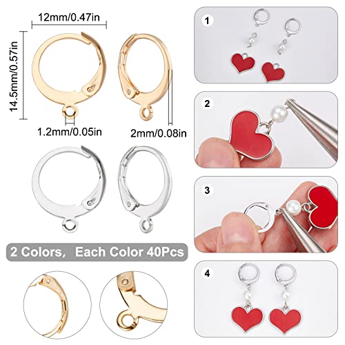 SUNNYCLUE 1 Box 80Pcs 40 Pairs Leverback Earring Hooks Real 18K Gold Plated Stainless Steel Round Lever Back Clasp Huggie Hoop French Ear Wire Leverbacks Hook for Jewelry Making Earrings Findings - color: 80pcs Mixed Material & Color Round Leverback Earri