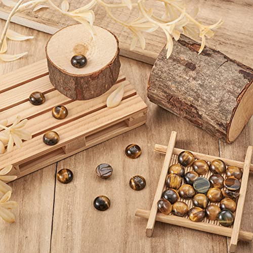 Fashewelry 50Pcs Natural Tiger Eye Cabochon Stone Half Round Beads 12mm Flat Back Gemstone Chakra Healing Crystal Cover Cabs for Jewelry Making - color: 2-Tiger Eye, size: 12x5mm