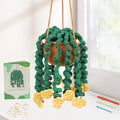 Kogyxe Beginners Crochet Kit, Hanging Potted Plants Knitting Starter Pack, Amigurumi Crochet Starter Kits w Step-by-Step Video Tutorials for Beginners Decoration, Plants Family (40%+ Yarn) - size: Spiral yellow flower