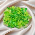 Green Leaf Beads for Jewelry Making 450pcs Assorted Bulk Transparent Acrylic Leaf Bead Charms Maple Leaves for Flower Caps Plants DIY Earring Pendant Jewelry Crafts