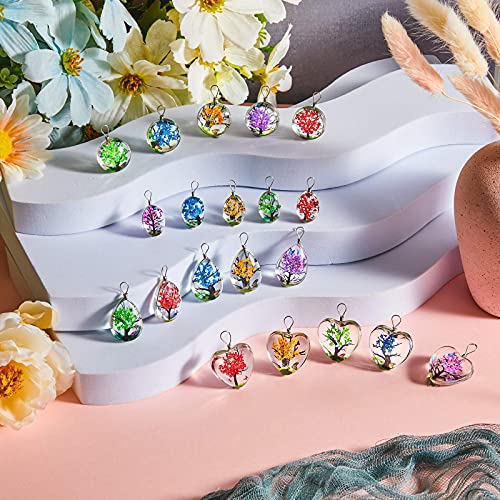 Hicarer 20 Pieces Dried Flower Tree Pendant Plant Pressed Flower Charms Resin Lacework Transparent Glass Beads Round Floating Pendant Mixed Colors for DIY Necklace Bracelet Jewelry Making, 4 Styles