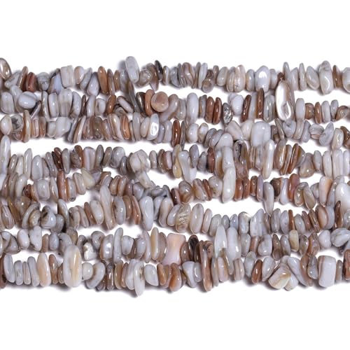 Chip Shell, 260pcs 5-8mm Irregular Shell Beads with Holes, Light Gray Shell & Labradorite Like Chip Beads for Jewelry Making - color: Light Gray