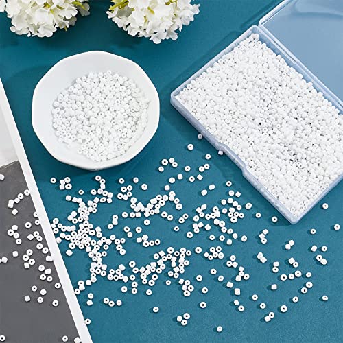 PH PandaHall White Seed Beads, 2000 Pcs 3mm 8/0 Glass Seed Beads Round Small Pony Bead Waist Beads Mini Spacer Beads for Earring Bracelet Necklace Anklet Jewelry DIY Craft Making - color: White-2000 Pcs