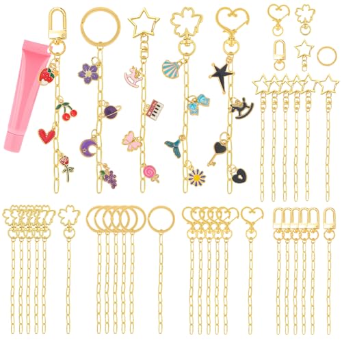 Ecoofor 50 Set Keychain Making Kit, 5 Style Metal Keychain Clips with Swivel Snap Hooks, Lobster Clasps, Key Rings & Extender Chains for DIY Crafts, Jewelry, Bags, Keychains & Gift Accessories - color: 50 Set Keychain Making Kit