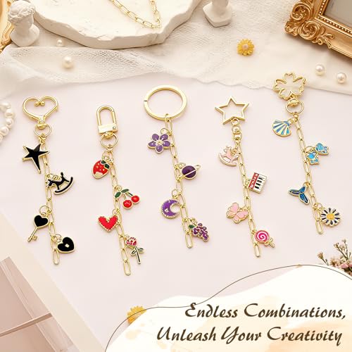 Ecoofor 50 Set Keychain Making Kit, 5 Style Metal Keychain Clips with Swivel Snap Hooks, Lobster Clasps, Key Rings & Extender Chains for DIY Crafts, Jewelry, Bags, Keychains & Gift Accessories - color: 50 Set Keychain Making Kit