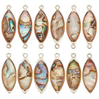 BENECREAT Abalone Shell Charms, Paua Shell Pendant Shell Charms for Jewelry Making - color: Horse Eye