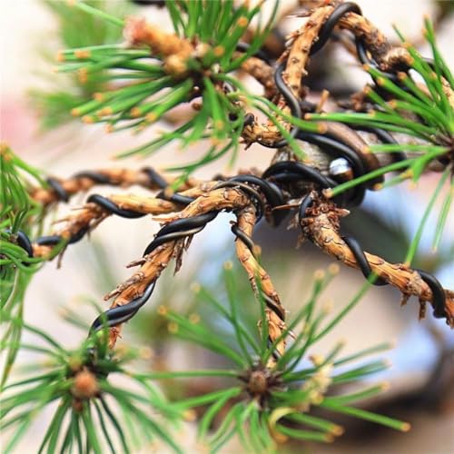 YEQIN 12 Gauge Aluminum Wire, 105 Feet 2mm Bendable Metal Craft Wire for Sculpting, Armature, Jewelry Making, Floral Making, Doll Making, Modelling, Crafting, Bonsai Training (Black) - color: Black