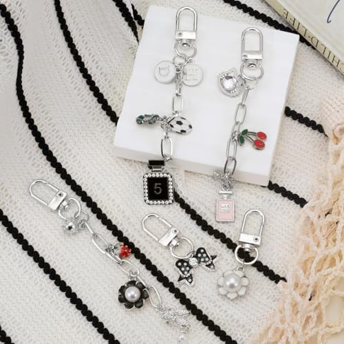Hzopcw 20pcs Silver Keychain Making Kit, Key Ring Swivel Snap Hook Chains, Alloy Extender Keychain Bag Charm Kits for DIY Crafts Jewelry Making Handbag Purses- A Style - color: Silver-20pcs-A Style