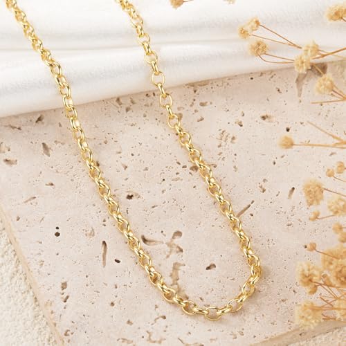 GTVOODX 18K Gold Stainless Steel Chains Bulk 16.4Feet Unfinished Rolo Link Cable Chain Roll for DIY Jewelry Bracelet Necklace Making with Lobster Clasps Jump Rings - color: Gold Rolo Chains