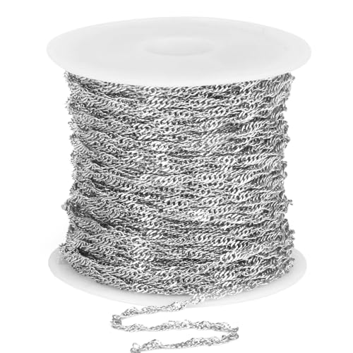 33 Feet Stainless Steel Singapore Chains Roll, 2mm 304 Stainless Steel Twisted Link Chain Bulk Spool for Jewelry Making DIY Craft - color: 2mm Stainless Steel