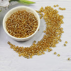 Transparent Gold with Silver Lined Beads Size 6/0 Crafts Glass Seed Beads 4mm for Jewelry Making (Total About 100g About 1200pcs) - color: Transparent Gold with Silver Lined, size: 4mm
