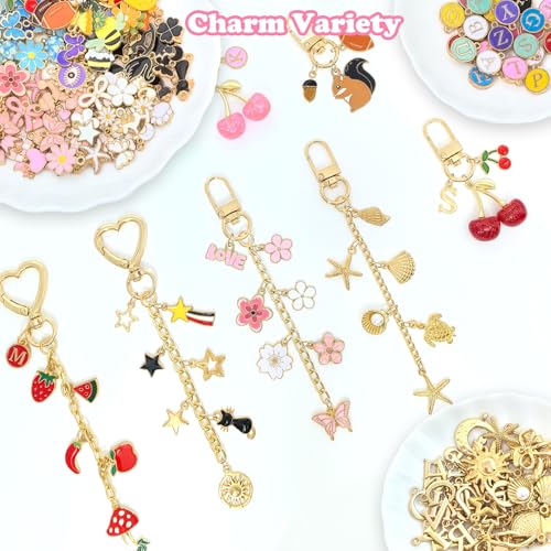 526Pcs Charms Lip Gloss Keychain Making Kit, DIY Keychain Supplies with 200 Charms, 28 Clasps, Jump Rings, Chain, Jewelry Plier, Hole Punch, Bag Charm Kit, Jewelry Making Kit for Crafting Keychains - color: Gold-526Pcs Kit