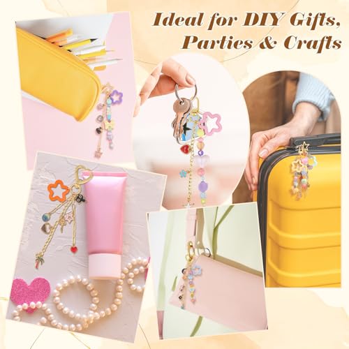 Ecoofor 364 Pcs Keychain Making Kit for Kids & Adults – Includes 20 Keychain Clips, 25 Extender Chains, 136 Charms, Beading Accessories, Jewelry Pliers – DIY Bag Charms & Jewelry Craft Kit Supplies - color: 5 Styles Essential Set