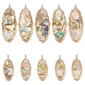 BENECREAT Abalone Shell Charms, Paua Shell Pendant Shell Charms for Jewelry Making - color: Wave Oval