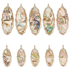 BENECREAT Abalone Shell Charms, Paua Shell Pendant Shell Charms for Jewelry Making - color: Wave Oval