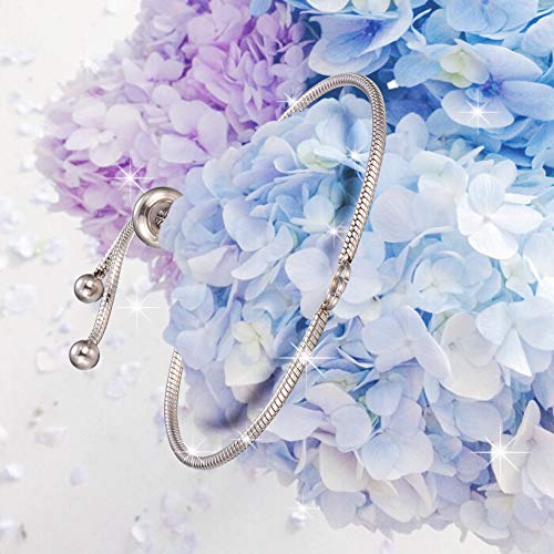 DanLingJewelry 10pcs 304 Stainless Steel Adjustable Slider Bracelet Slider Extender Chains Friendship Bracelets for Jewelry Making DIY 8 Inches(210mm) PP - color: StyleⅫI-10 pcs-Platinum