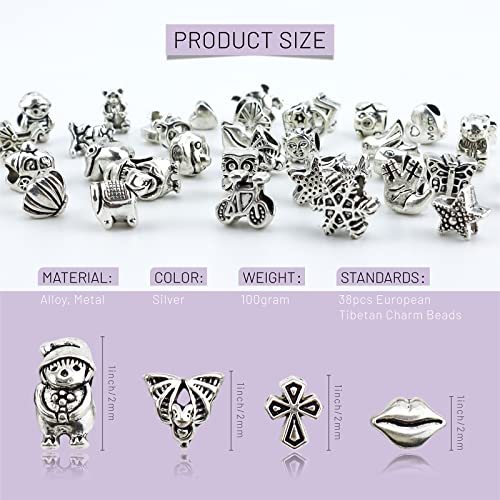 JIALEEY Wholesale Bulk Mix Tibetan Silver Tone Color Spacer Loose Beads Fit European Charm Bracelet Lot for Jewelry Making Findings DIY, 100Gram/38 Pcs