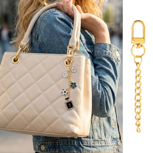 Hzopcw 20pcs Gold Keychain Making Kit, Key Ring Swivel Snap Hook Chains, Alloy Extender Keychain Bag Charm Kits for DIY Crafts Jewelry Making Handbag Purses- D Style - color: Gold-20pcs-D Style