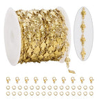 KYUNHOO 13 Feet Stainless Steel Chains Bulk on Spool Gold Plated Chain for Jewelry Making with Lobster Clasps and Jump Rings for Necklace Jewelry Crafts DIY - color: Mushroom Gold