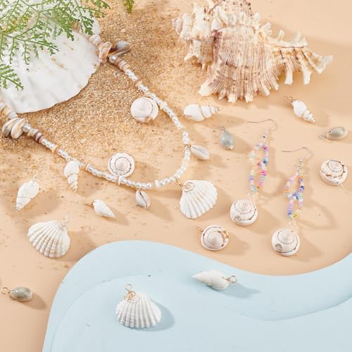 PH PandaHall 72pcs 12 Styles Natural Shell Pendants White Scallop Spiral Cowrie Shell Pendants Natural Seashells Charms Jewelry Charms for Jewelry Making Home Decor Wedding Summer Ocean Beach Party