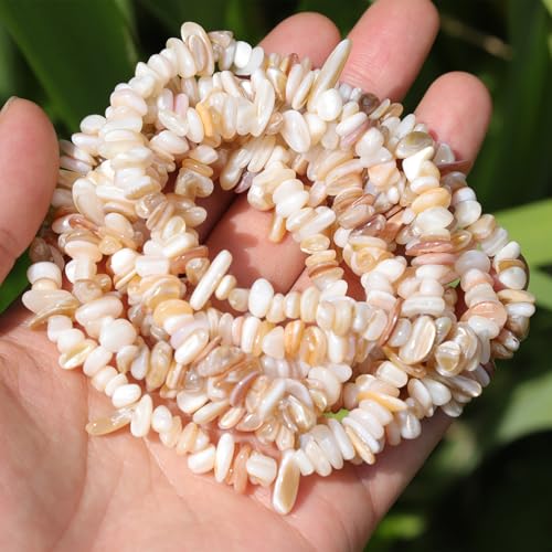 400pcs Natural Chip Shell Beads for Jewelry Making Brown Shell 5-8mm Irregular Gemstones Healing Crystal Loose Rocks Bead Hole Drilled for Ring Earrings Necklace Bracelet Making DIY Art Crafts - color: Brown Mother of Pearl Shell(2 Strands-62")
