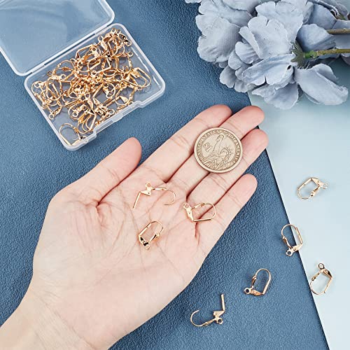 Beebeecraft 1 Box 50Pcs Leverback Earring Findings 18K Gold Plated French Earring Hooks 16x11mm Leaf Pattern Interchangeable Dangle Ear Wire Findings for Jewelry Making - color: 16x11mm Leaf Earring Hooks