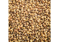 Miyuki Seed Bead 11/0 APX. 22 - g OP. Yellow Picasso Japanese Glass Seed Beads - color: Yellow Picasso
