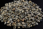Natural Chip Stone Beads Dalmation Spot 5-8mm About 400 pieces Irregular Gemstones Healing Crystal Loose Rocks Bead Hole Drilled DIY for Bracelet Jewelry Making Crafting (5-8mm, Dalmation Spot Jasper) - color: Dalmation Spot Jasper