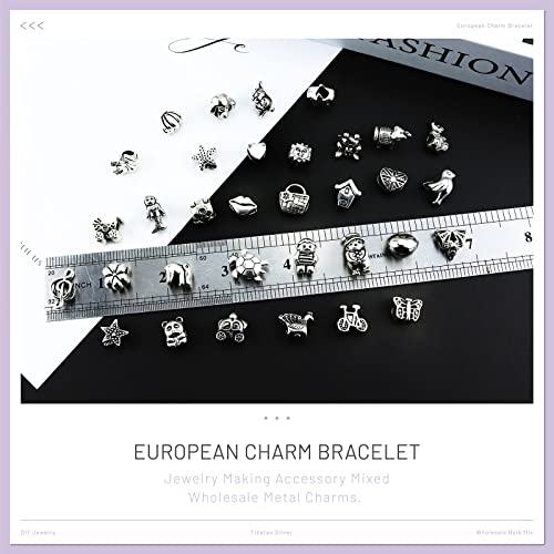 JIALEEY Wholesale Bulk Mix Tibetan Silver Tone Color Spacer Loose Beads Fit European Charm Bracelet Lot for Jewelry Making Findings DIY, 100Gram/38 Pcs