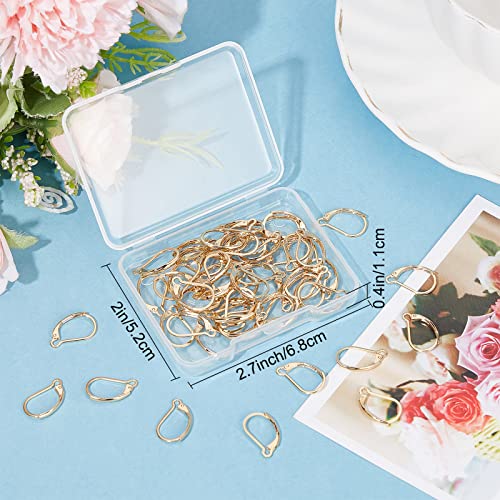 SUNNYCLUE 1 Box 60Pcs Real 24K Gold Plated Leverback Earring Findings French Earring Hooks 16.5x10mm Leverbacks Lever Back Earwires for Jewellery Making Women Adults DIY Dangle Earrings Supplies - color: 60pcs Real 24k Gold Plated Stainless Steel Leverbac