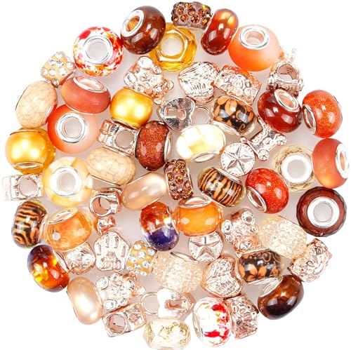 60 Pieces Assorted European Beads with Copper Core Big Hole Resin Spacer No Copper Core Lampwork Colorful Beads Rhinestone Craft Beads for DIY Charm Bracelet Jewelry Making (Orange) - color: Orange