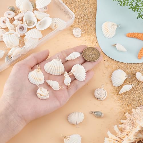 PH PandaHall 72pcs 12 Styles Natural Shell Pendants White Scallop Spiral Cowrie Shell Pendants Natural Seashells Charms Jewelry Charms for Jewelry Making Home Decor Wedding Summer Ocean Beach Party