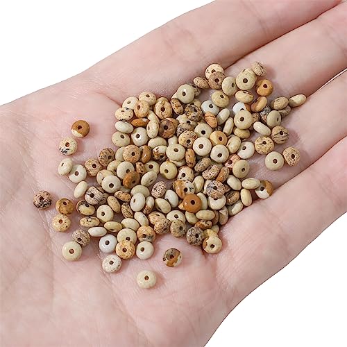 BEADIA Natural Brown Picture Disk Stone Beads 4x2mm 160pcs Rondelle Loose Semi Gemstone Beads for Jewelry Making Design - color: Brown Picture