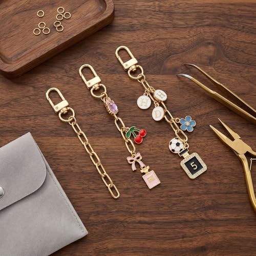 PAGOW 6pcs Keychain Making Kit, Alloy Key Chain Clips with Swivel Snap Hook Key Ring, Gold Purse Chain Bag Charm Extender Chains for DIY Crafts Handbag Jewelry Making - color: gold,6pcs