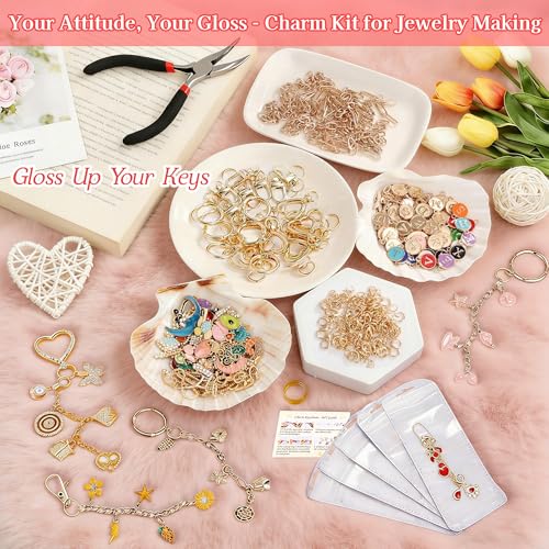 Lemosyu 563Pcs Lip Gloss Keychain Making Kit,DIY Craft Bag Charm Kit with Charms,Key Chains,Key Chain Hooks,Jump Rings,Lobster Claw Clasps,Gift Bags&Tools,Jewelry Making Supplies for Valentines Gifts