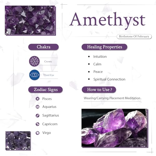 moonsix 10PCS Round Amethyst Cabochons Flatback CAB Gemstone Beads Crystal Flat Stone for DIY Craft Jewelry Making, 22mm - color: purple, size: 22mm