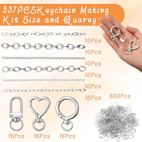Liliaafar 48 Set Keychain Making Kit Gold Silver Metal Keychain Clips with Key Ring Swivel Snap Hook Lobster Claw Clasps Extender Chain Bulk for DIY Craft Lip Gloss Bag Accessories Gift (Silver) - color: Silver