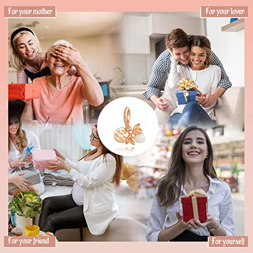 Mothers Day Birthday Number Love Family Friendship Graduation Auntie Grandma Dad Mom Charms for Pandora Bracelets Necklaces, Gifts Women, for Anniversary Valentines Christmas - style: You light uo my life Firefly 14K Rose Gold Plated