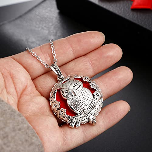 Mixed Pearl Cage Locket Pendants Set, Essential Oil Diffuser DIY Necklace Bracelet Jewelry Making Craft, Bulk Beads Aromatherapy Diffuser Charms Gifts for Women Girls - color: Random 8pcs Aroma Diffuser