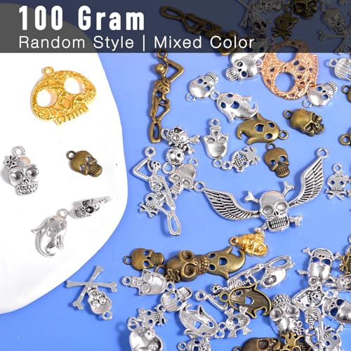 stino 100 G Mixed Style Metal Charms for Jewelry Making, Bulk Silver & Gold Plated, for Bracelet, Necklace, Earrings DIY Crafts - style: Skull