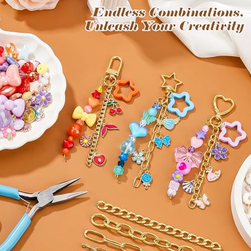 Ecoofor 364 Pcs Keychain Making Kit for Kids & Adults – Includes 20 Keychain Clips, 25 Extender Chains, 136 Charms, Beading Accessories, Jewelry Pliers – DIY Bag Charms & Jewelry Craft Kit Supplies - color: 5 Styles Essential Set