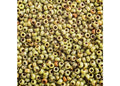 Miyuki Seed Bead 11/0 APX. 22 - g OP. Chartreuse Picasso Japanese Glass Seed Beads - color: Chartreuse Picasso