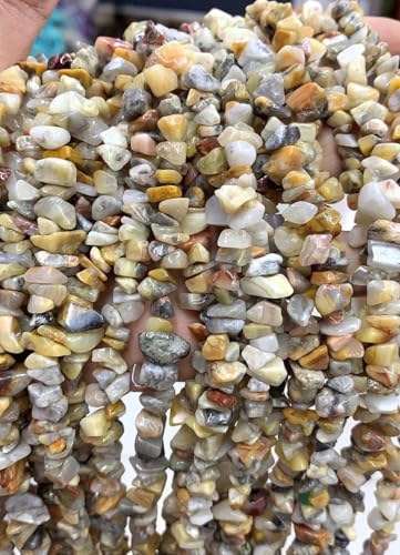 Adabele 31 Inch Natural Crazy Lace Agate Gemstones Chip Loose Beads Drilled Hole Free Form 5mm-8mm Gem Stone Spacer for Craft Jewelry Making GZ1-21 - color: Crazy Lace Agate, size: 31 Inch/1 Strand