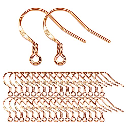 Rose Gold Earring Hooks, 240Pcs Earrings Making Kit with Hypoallergenic Ear Hooks, Jump Rings and Clear Rubber Earring Backs for DIY Jewelry Making - color: Small Rose Gold