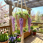 Potchen 13155 Pcs Wisteria Craft Beaded and 5 Inch Clay Pot Planter DIY Set, Glass Beads Plant Flower Making Kit with Artificial Moss Hanging Rope Purple Nature Series Colorful Crystal Leaf Jewelry