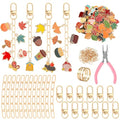 AUGSUN 189Pcs Fall Keychain Making Kit, Autumn Charm Jewelry Chain Making Crafts, 60 Thanksgiving Charms 12 Keychain Clips Hooks 15 Extender Chains 100 Jump Ring and Jewelry Plier for Holiday Gifts - style: Fall