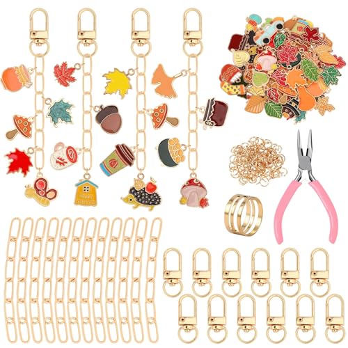 AUGSUN 189Pcs Fall Keychain Making Kit, Autumn Charm Jewelry Chain Making Crafts, 60 Thanksgiving Charms 12 Keychain Clips Hooks 15 Extender Chains 100 Jump Ring and Jewelry Plier for Holiday Gifts - style: Fall